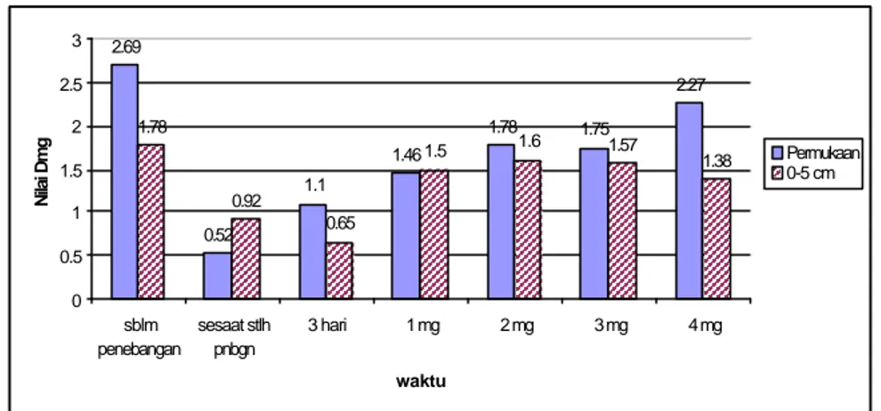 Gambar 6. Nilai kekayaan jenis (Dmg) fauna tanah sebelum dan setelah pembakaran di  hutan Sekunder Haurbentes Jasinga, Jawa Barat 