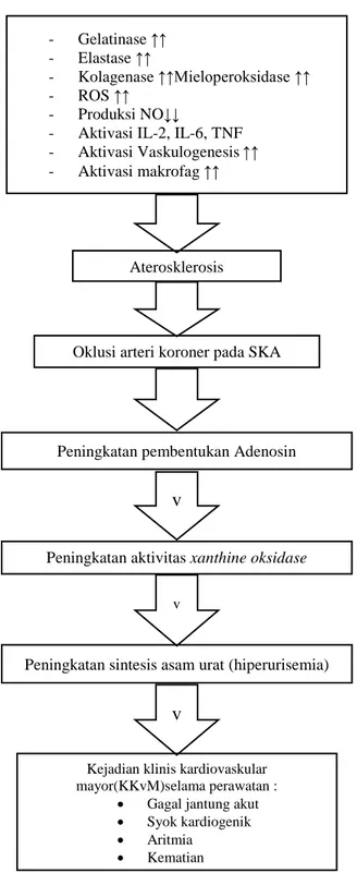 Gambar 2.5  Diagram Kerangka Teori (Sivakumar K dkk, 2014) - Gelatinase ↑↑ 