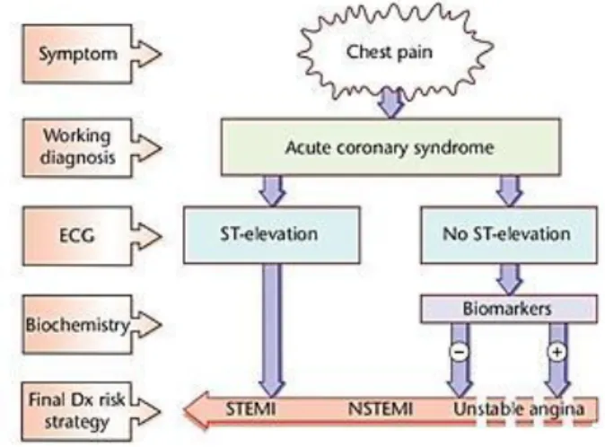 Gambar  1.  Spektrum  dan  definisi  Acute  Coronary  Syndrome  (ACS)Sumber : Hamm, 2011 