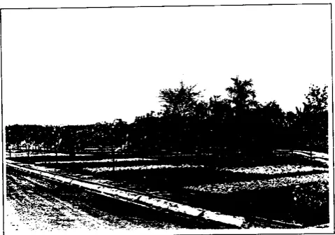 Gambar 2.14. Area Percontohan 