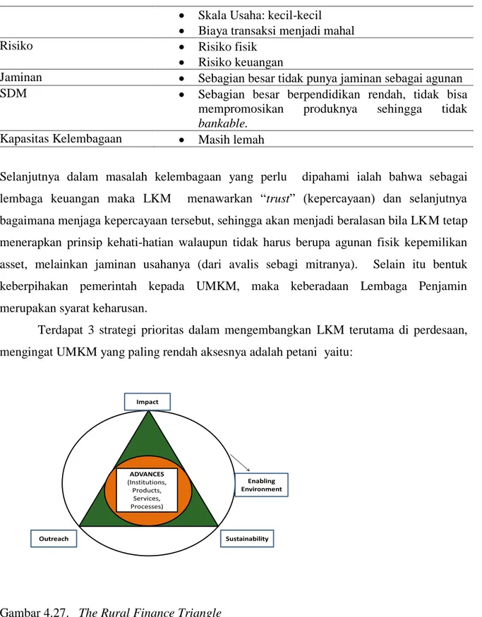 Gambar 4.27.   The Rural Finance Triangle 