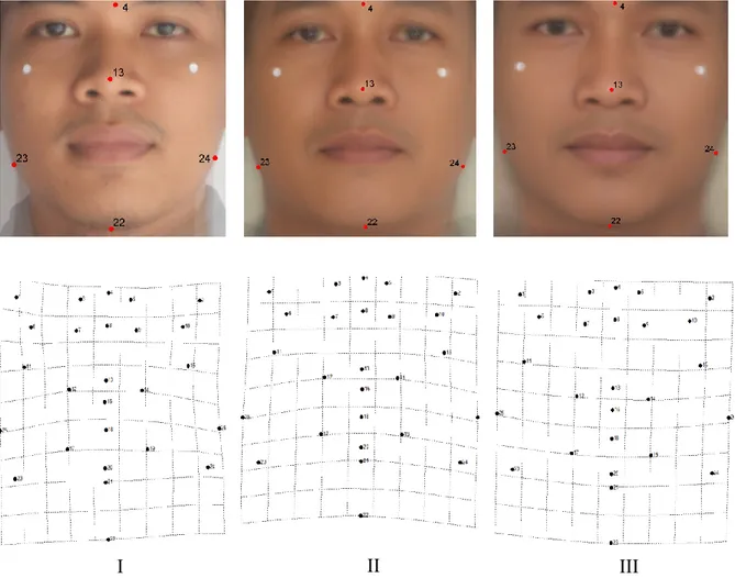 Gambar 6 Tipe I, II, dan III wajah depan pria dengan grid deformasinya  Setelah analisis Neighbour Joining (NJ), semua responden pada setiap tipe  dikelompokkan dan dianalisis dengan menggunakan tpsSplin sehingga dihasilkan  grid  deformasi  untuk  setiap 