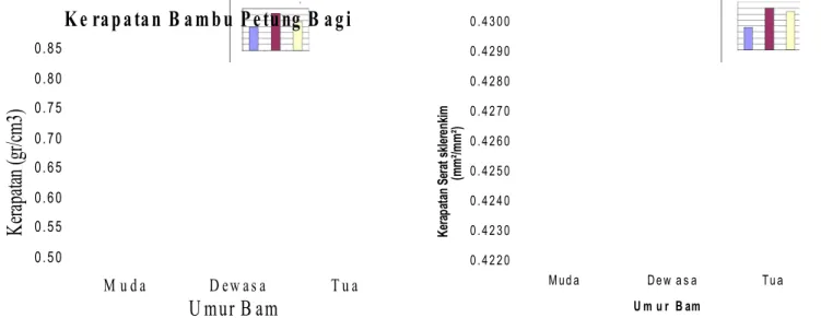 Grafik  perbandingan  kerapatan  rata- rata-rata  bambu  petung  bagian  pangkal   berdasarkan  umur  bambu  ditampilkan  pada Gambar 3 berikut .