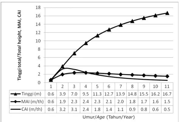 Figure A. mangium