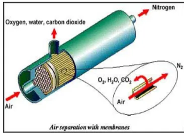 Gambar 5. Cara Kerja Membran dalam Proses Pemisahan Nitrogen 
