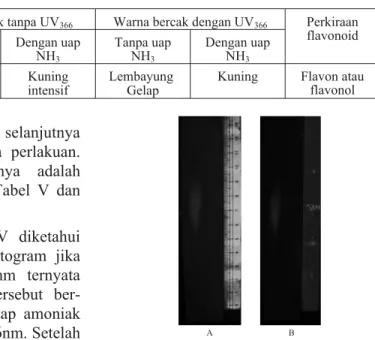 Gambar 5. Hasil kromatografi kertas dengan fase diam kertas Whatman dan fase gerak butanol-asam asetat-air (4:1:5) dengan deteksi