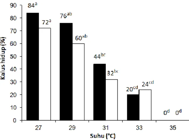 Gambar 2. Persentase kalus Dewata () dan Selayar  (  ) yang hidup pada suhu 27°C-35°C  
