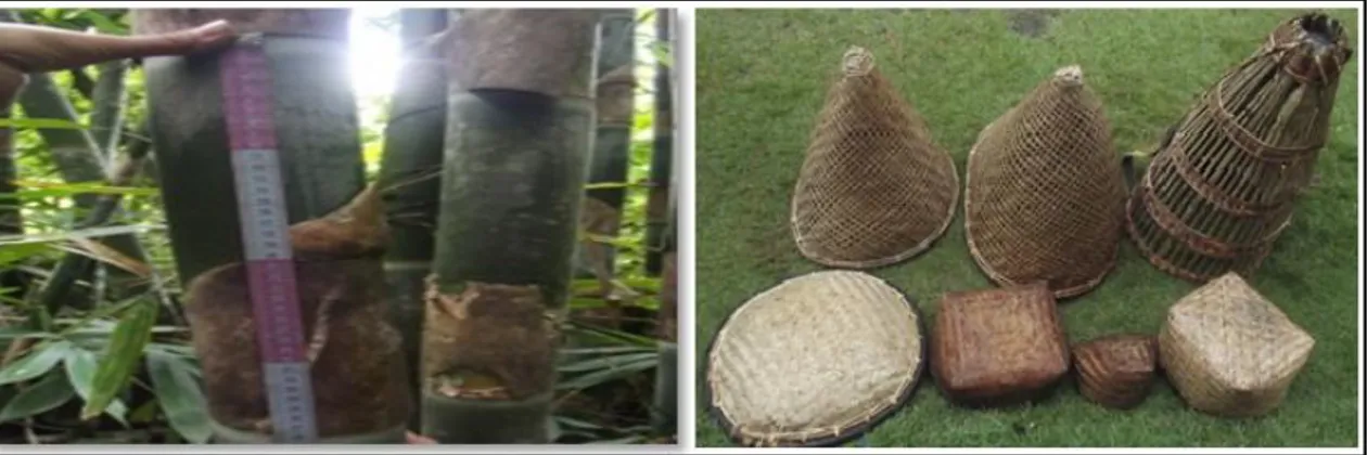 Gambar 2.  Anyaman yang dihasilakan menggunakan bambu buluh ( Woven products  made of Buluh bamboo) 