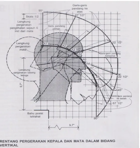 Gambar 2.17 Antropometri Pergerakan Kepala  (Panero, 2003) 