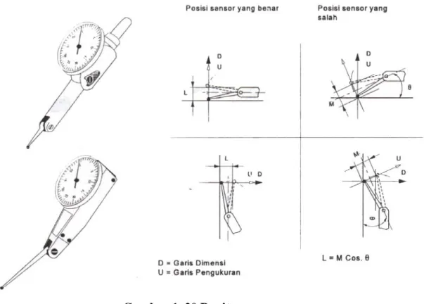 Gambar 1. 20 Pupitas 
