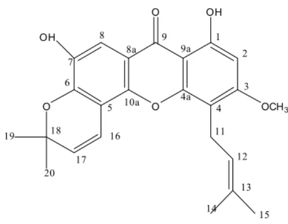 Gambar 1. Struktur  1,7-dihidroksi-3-metoksi-4-(3metilbut-2-enil),6 ’ ,6’- dimetilpirano (2 ’  , 3 ’  : 5,6)  santon