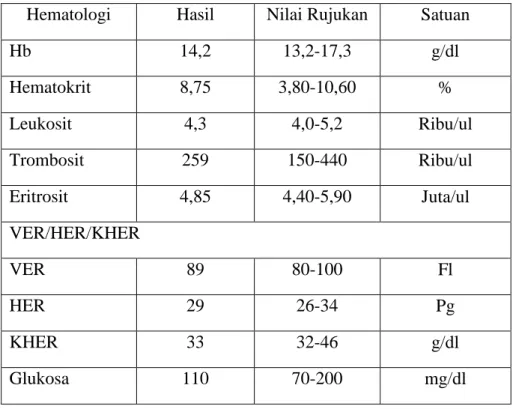 Tabel 3.1 Hasil Pemeriksaan Laboratorium pada tanggal 22 Mei 2017  Hematologi  Hasil  Nilai Rujukan  Satuan 