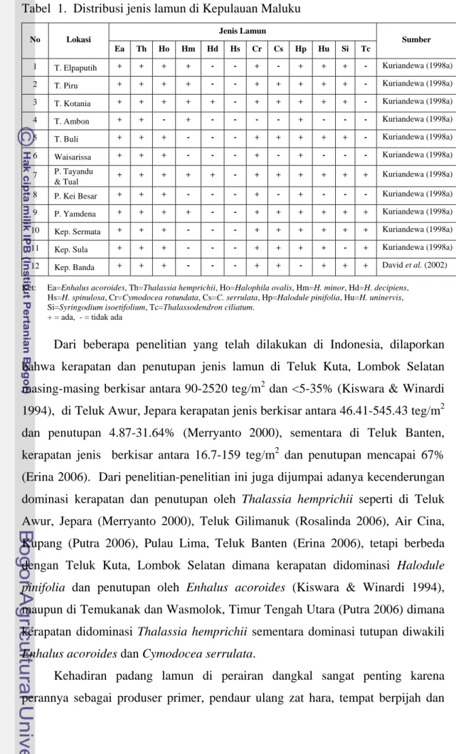Tabel  1.  Distribusi jenis lamun di Kepulauan Maluku 