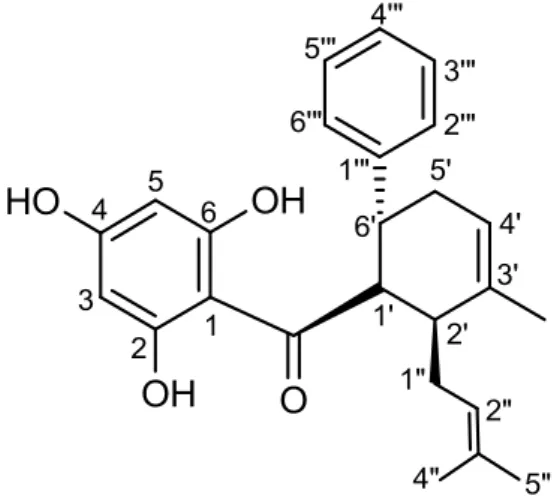 Gambar 2 .  4-Hidroksipanduratin A (2).