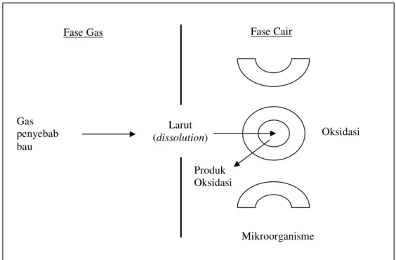 Gambar  3.  Mekanisme penyerapan gas penyebab bau secara biologi 