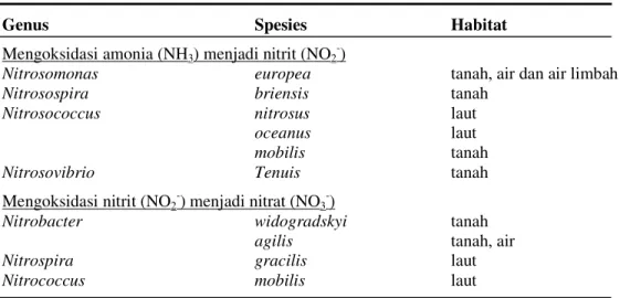 Tabel  2.   Daftar Bakteri Pengoksidasi Nitrogen 