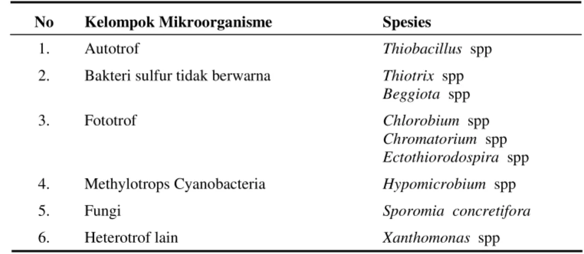 Tabel  3.   Daftar Bakteri Pengoksidasi Sulfur  No  Kelompok Mikroorganisme  Spesies 