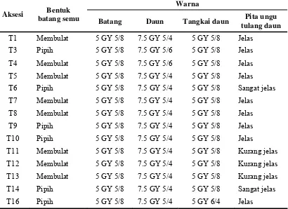 Tabel  8.  Keragaan karakter morfologi batang semu dan warna daun temula-wak pada intensitas cahaya matahari 100% di Serpong 