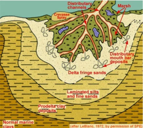 Gambar : Fisografi Delta dan Litologi 