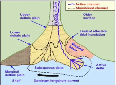 Gambar   Bagian-bagian   sand   deposit   pada   sistem   Delta (Coleman &amp; Prior, 1982)