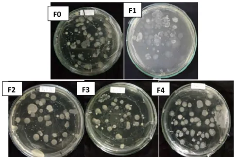 Gambar 2. Koloni Bakteri Pada Tangan Setelah Pemakaian hand sanitizer  perlakuan FO,F1, F2, F3 dan F4 