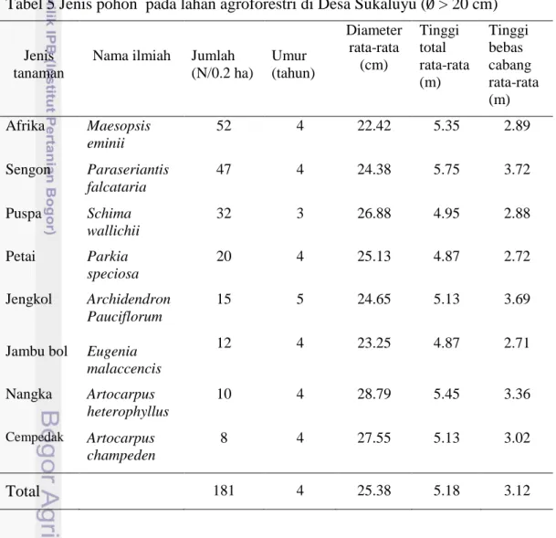 Tabel 5 Jenis pohon  pada lahan agroforestri di Desa Sukaluyu (  &gt; 20 cm) 