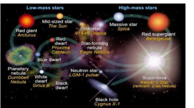 Gambar 1. Evolusi bintang (NASA, 2014) 