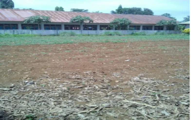 Foto lokasi  penyuluhan pertanian Desa Tajuia 