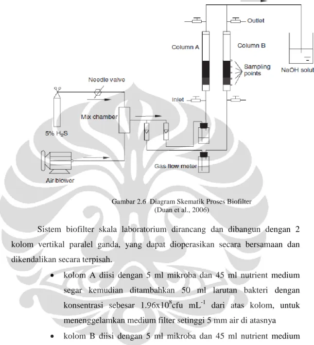 Gambar 2.6  Diagram Skematik Proses Biofilter   (Duan et al., 2006)   