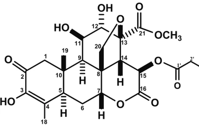 Gambar 3 Struktur Kimia Brusein-A dari Buah       Makasar