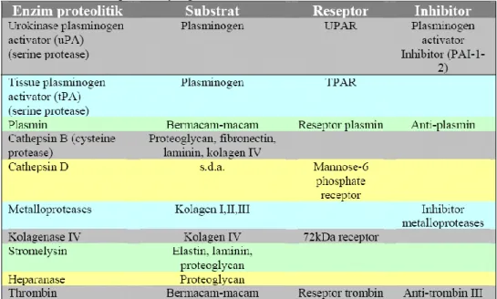 Tabel 1. Sistem protease yang terlibat dalam invasi tumor  14 