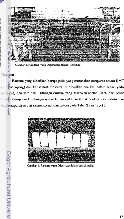 Gambar 3. h d a n g  )wig D i g u r n  dalam Pcnclitian 