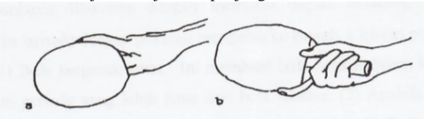 Gambar 4. Seemiller Grip  (Hodges L, 1996: 17) 