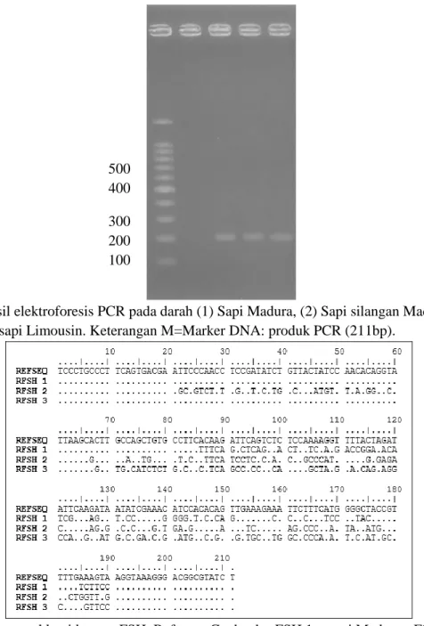 Gambar 2. Urutan nukleotida gen rFSH. Refseq = Genbank, rFSH 1 = sapi Madura, rFSH 2 = sapi          silangan Madrasin, rFSH 3 = sapi Limousin