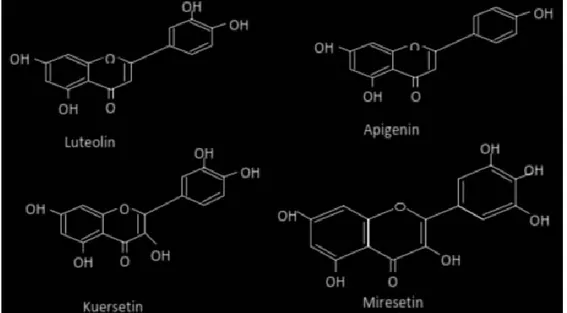 Gambar 1.  Struktur Flavonoid  Flavon (Apigenin, Luteolin) dan Flavonol (Kuersetin, Miresetin)