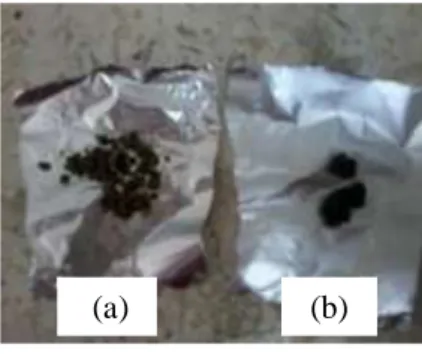 Gambar 1 (a) ekstrak metanol (b) ekstrak air      