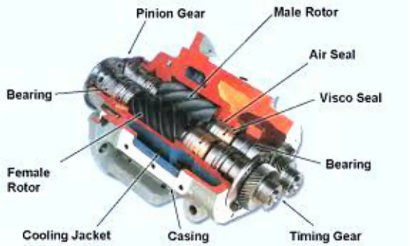 Gambar 2.8 Rotor Rotary Screw Kompresor (Double Screw)  (Sumber : http://www.classzero.com, 