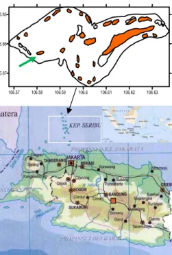 Gambar 2 Posisi belt transect (1-6 ) di  Pulau Tikus. Tanda panah  menunjukkan arah berjalan  saat penghitungan