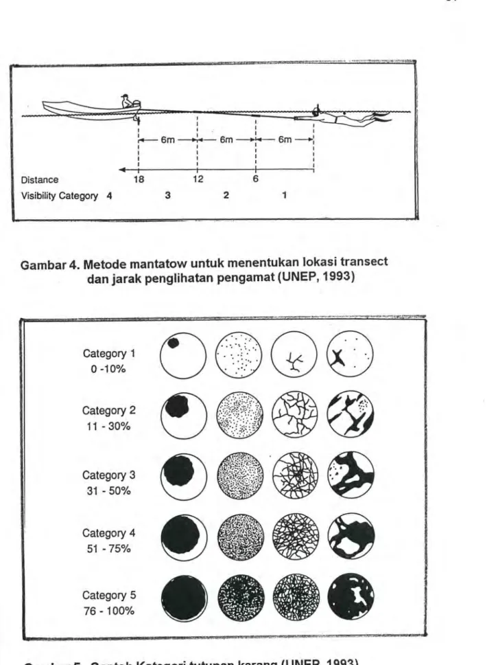 Gambar  5.  Contoh  Kategori  tutupan  karang  (UNEP,  1993) 