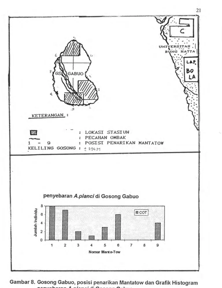 Gambar  8.  Gosong  Gabuo,  posisi  penarikan  Mantatow  dan  Grafik  Histogram  penyebaran  A.planci  di  Gosong  Gabuo 