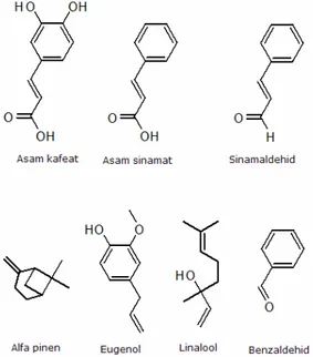Gambar 1. Struktur molekul asam kafeat, asam  sinamat,  dan  komponen  minyak  kayu manis