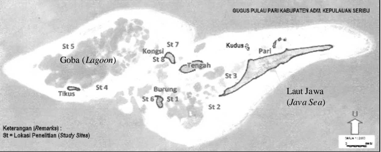 Gambar 1. Peta Gugusan Pulau Pari dan 8 stasiun sampling pada habitat lamun Figure 1. Map of Pari Islands with 8 sampling stations at seagrass habitat Kecepatan kapal waktu menarik pukat rata-rata 10