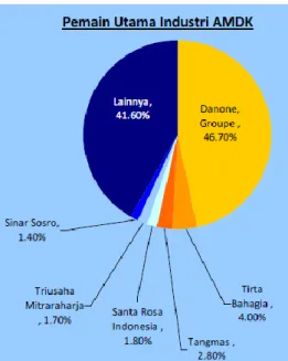 Gambar  1.4  menunjukkan  besaran  persentase  pemain  utama  yang  mendominasi produk AMDK yaitu perusahaan Danone Group dengan merek  Aqua  sebesar  46,70%  diikuti  oleh  perusahaan  lain  sejenis  yang  mencapai  41,60%  pada  persentase  perusahaan  y