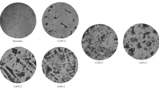 Gambar 2.1 Mikrofoto efek pertambahan karbon atas struktur logam 