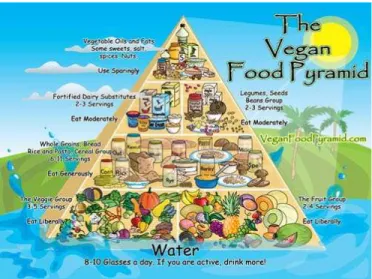 Gambar 2.8 Piramida Makanan Vegan  Sumber : http://veganfoodpyramid.com 