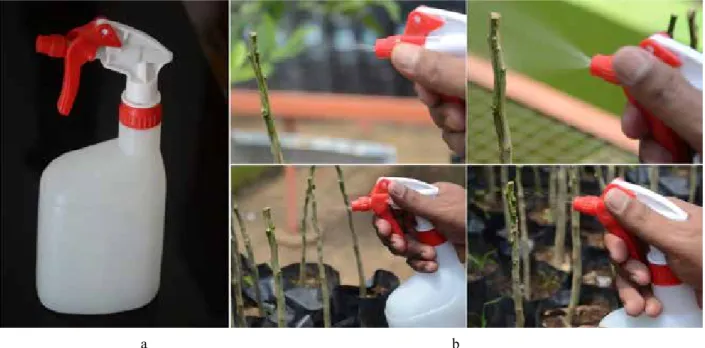 Gambar 3. Jet sprayer (a) dan aplikasi penyemprotan ZPT pada mata tunas jeruk dorman (b)