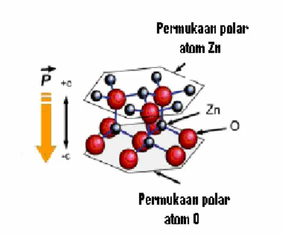 Gambar 2.10 Skematik struktur kristal ZnO dalam keadaan terpolarisasi 