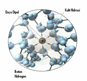 Gambar 2.1 Kulit hidrasi pada larutan ion 