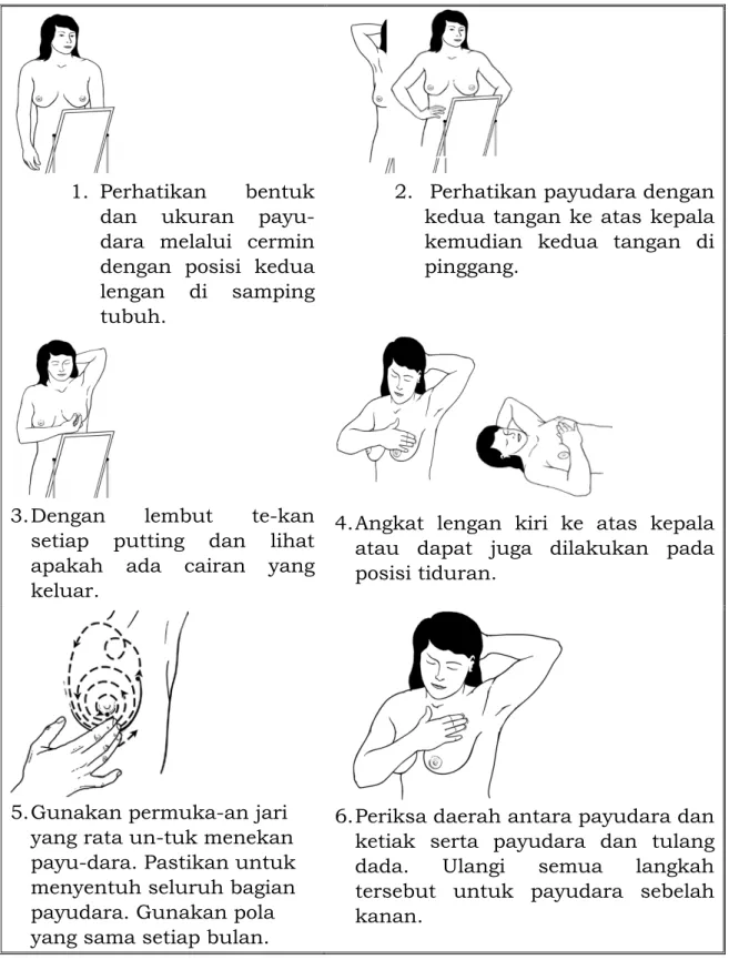 Gambar 8. Pemeriksaan Payudara Sendiri 