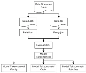 Gambar 6   Diagram  alir  pembentukan  model  taksonometri. 
